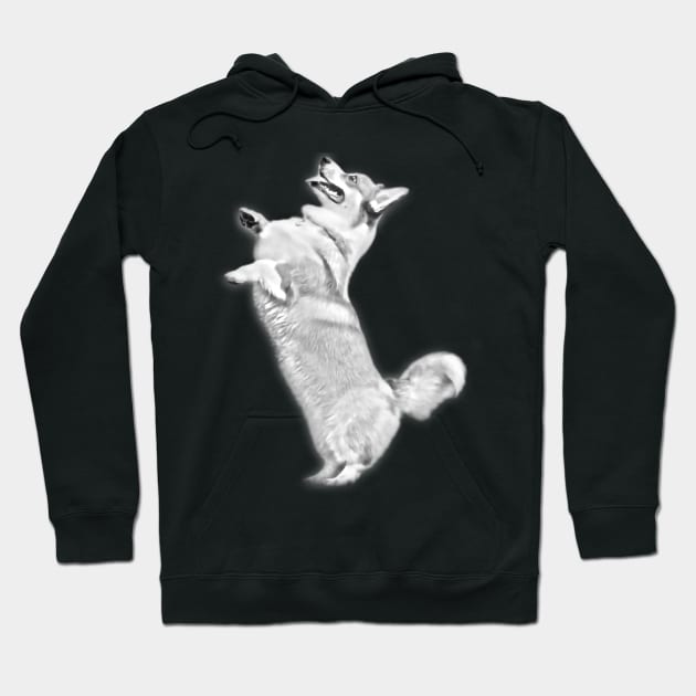 Pembroke Welsh Corgi Jump Design Hoodie by Kawaii Sketch